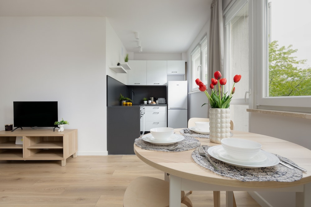 Studio Solec Warsaw by Renters view 4