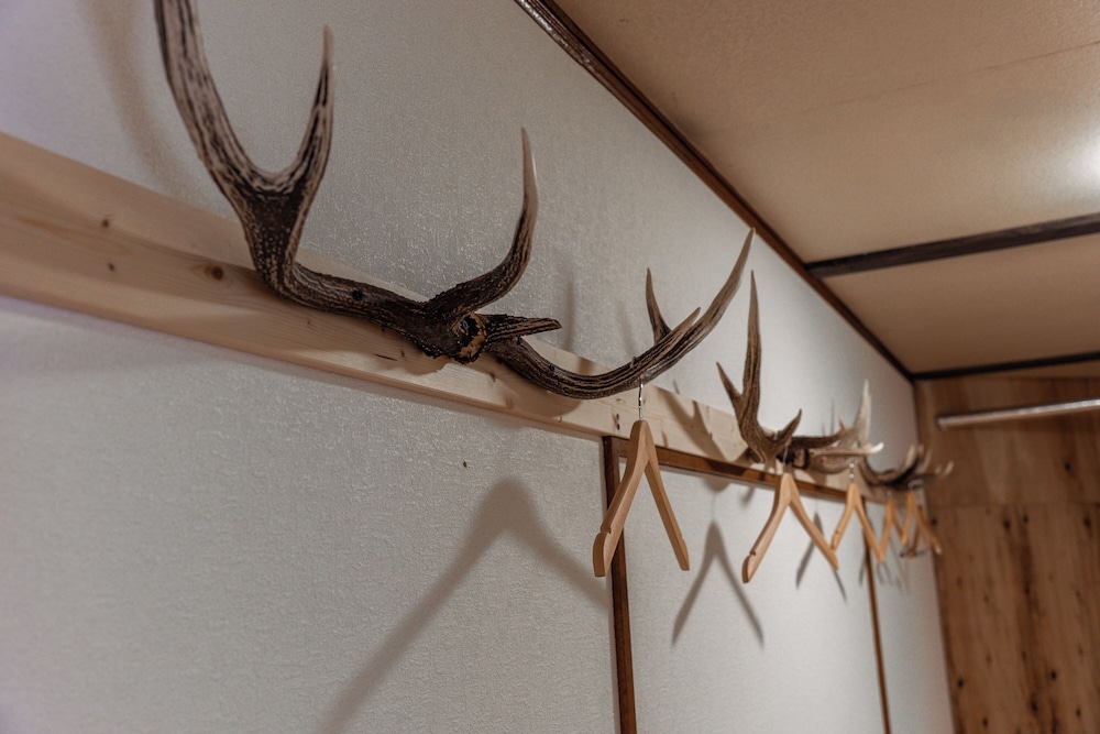 KING DEER