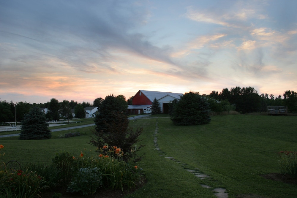 Photo 27
