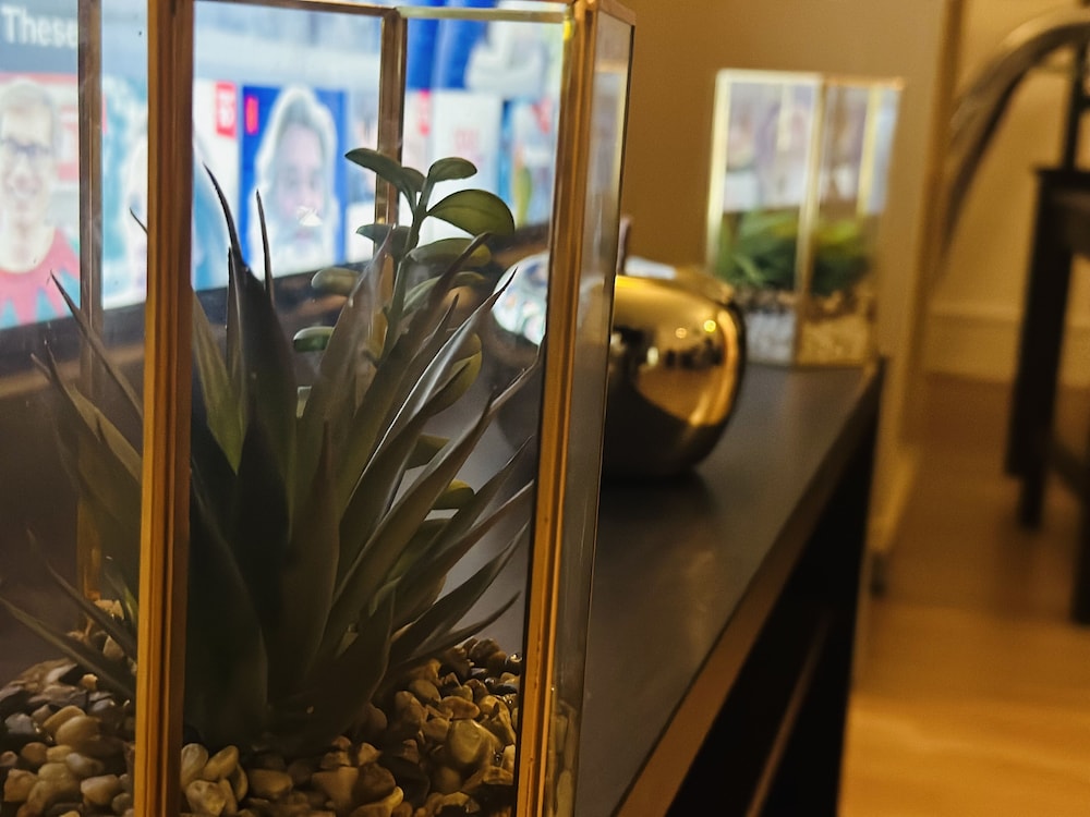 hotel reception