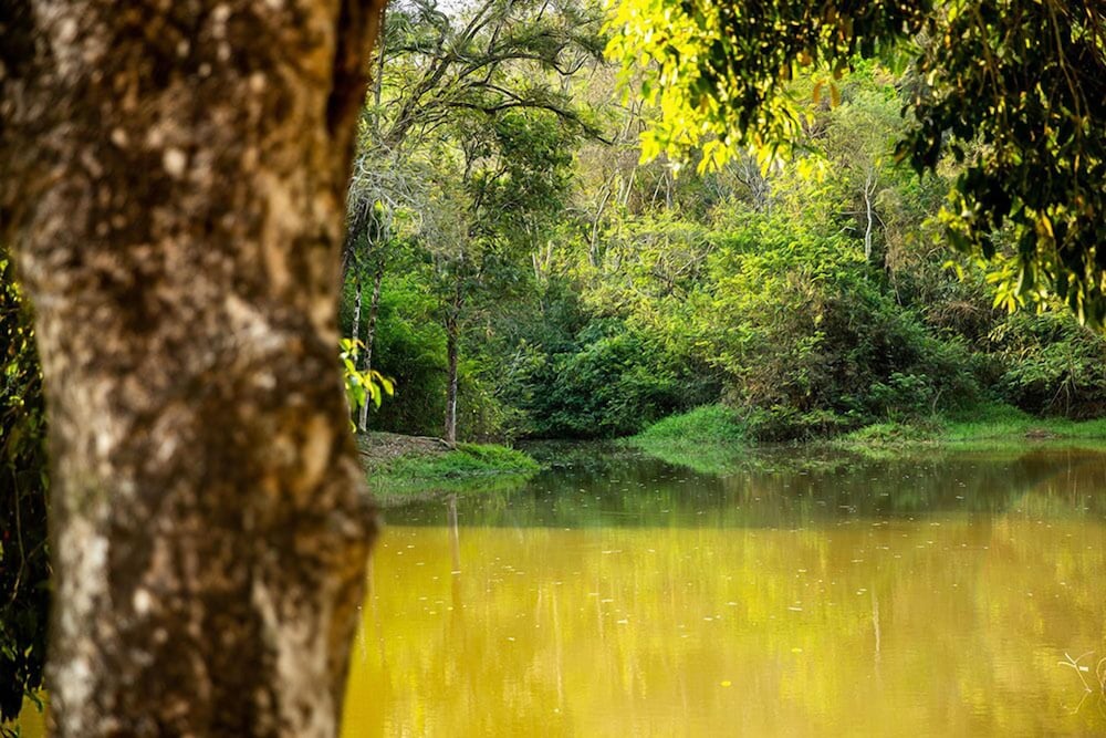 Hotel Fazenda Estancia Reviver