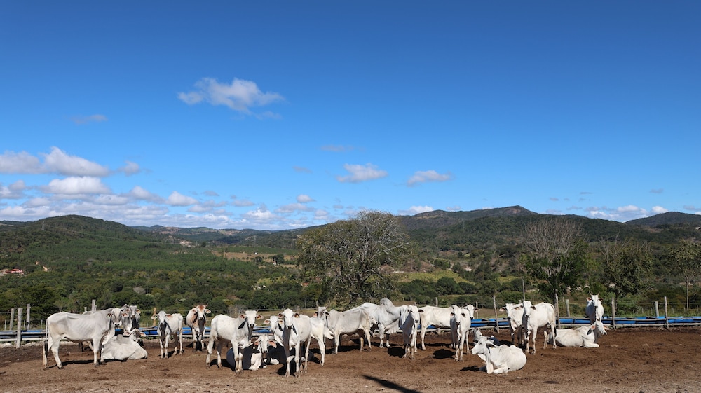 Rancho Topo da Montanha - Nova União MG
