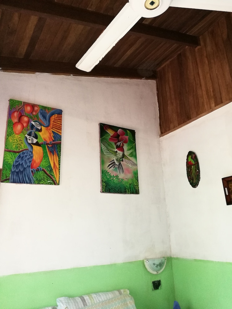 Photo 32
