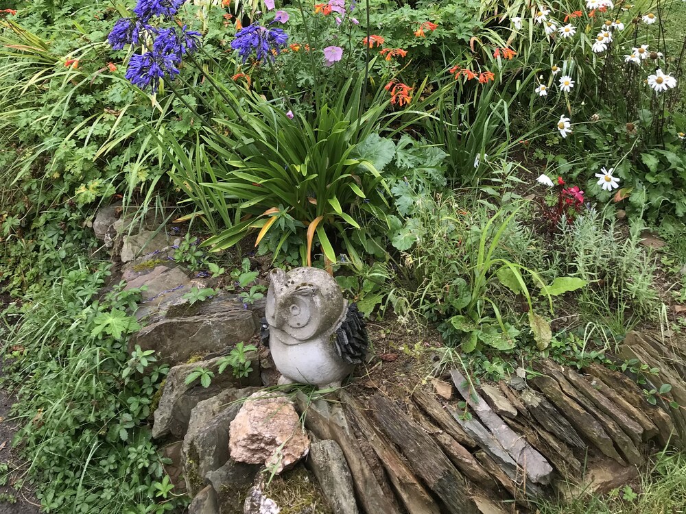 Barn Owl Cottage