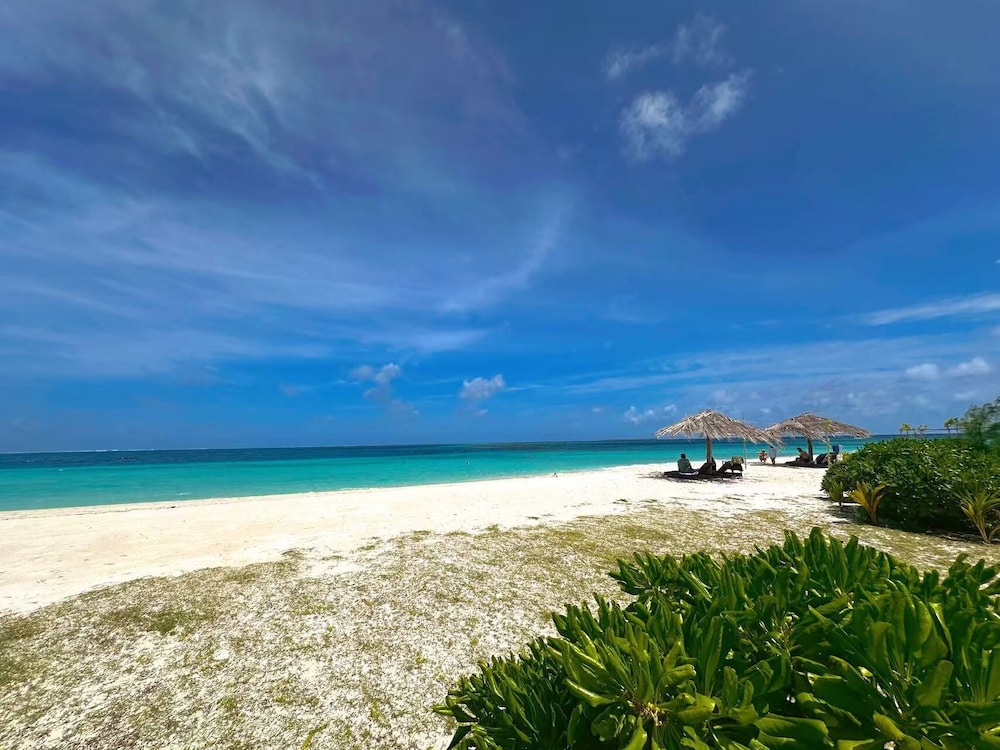 WhiteSand