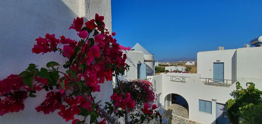Teoria Paros | Matsas Windmill