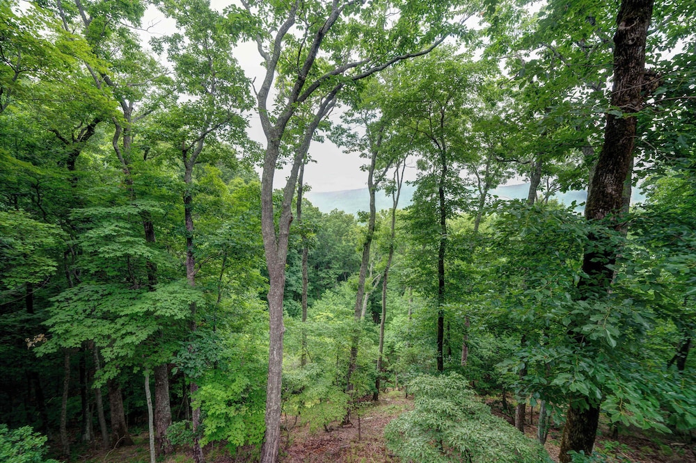 Mountain Views in Private Lake and Golf Community!