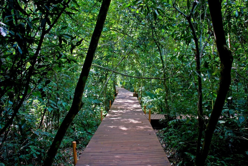 Tierra Guarani Lodge de Selva