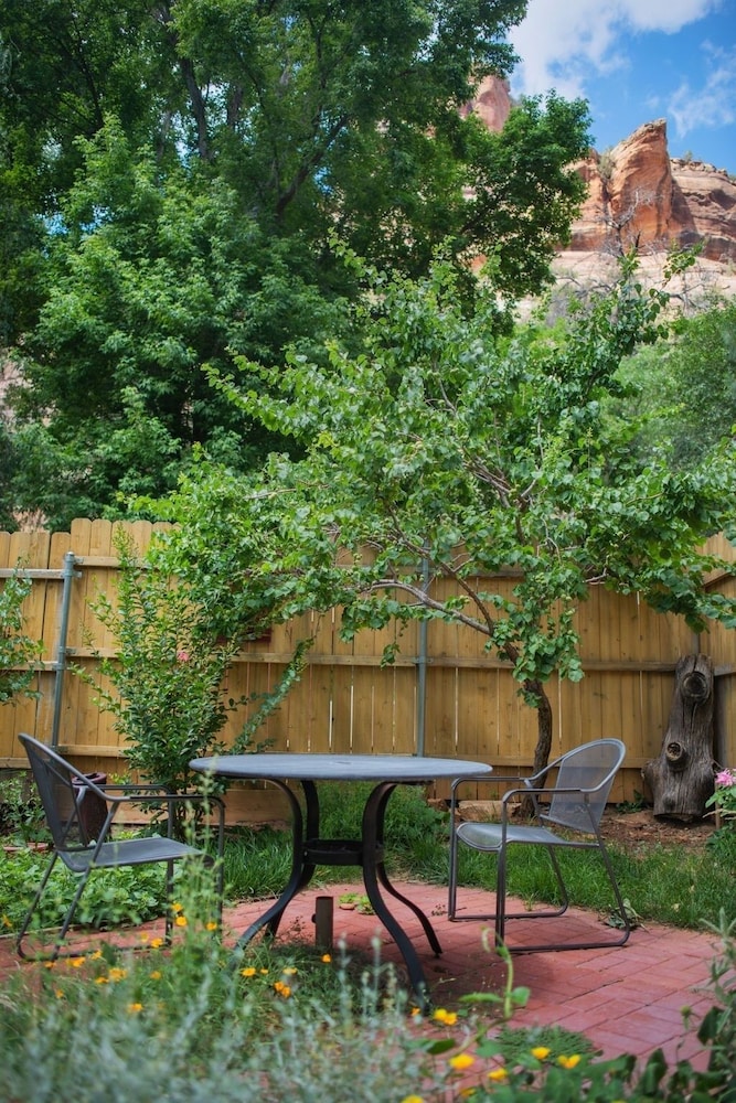 Canyon Wren by RedAwning view 3