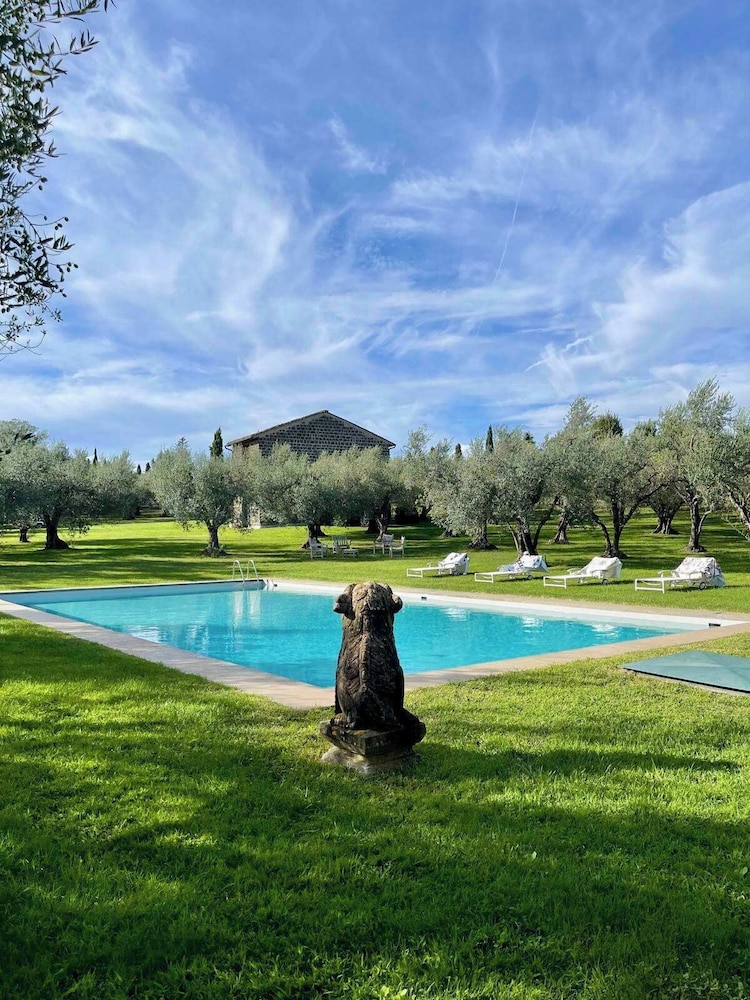 New Estate of Joy a Magnificent Historic Villa Near Rome on Glorious Ground Pool and Olives Galore