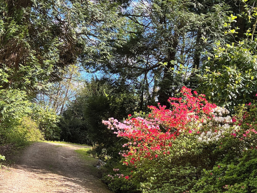 Finca La Peñiga