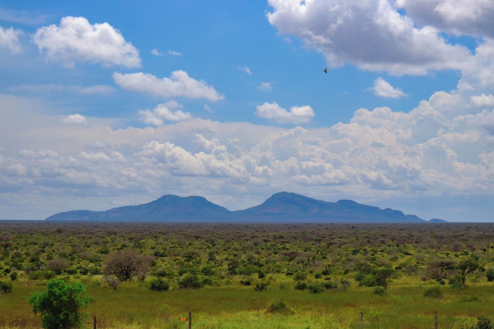 Kivuko Eco Camp
