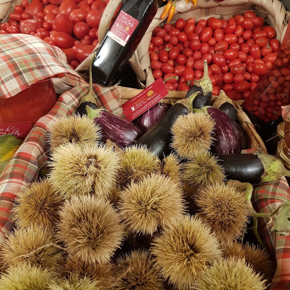 Fattoria Colle dei Monaci view 5
