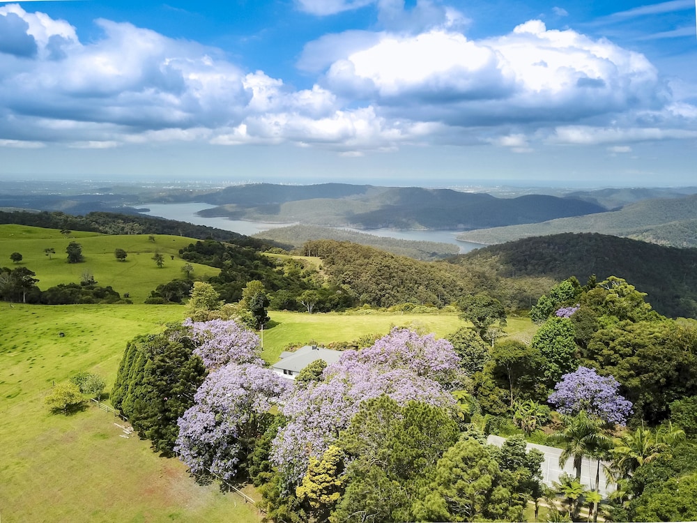 Photo 29