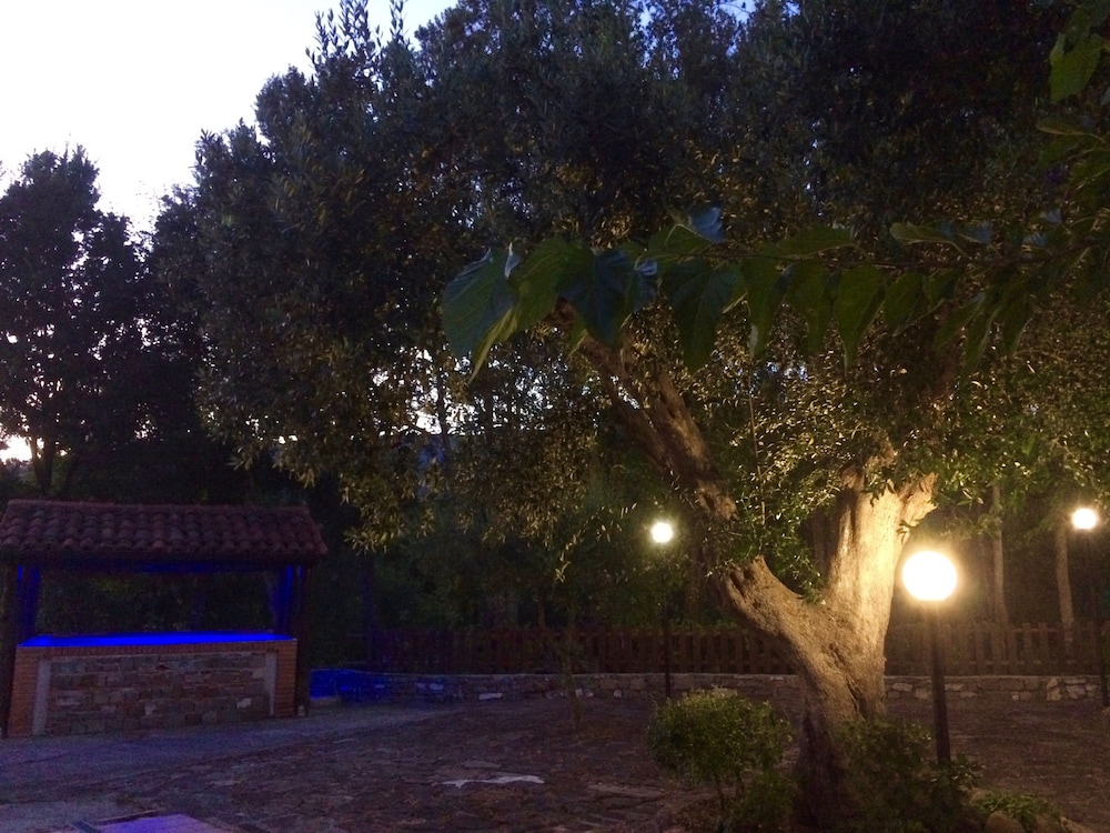 Photo 13