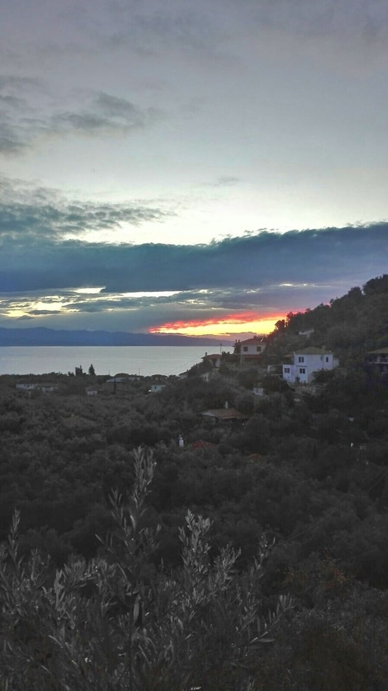 Luxury Mansion in Pelion Hills