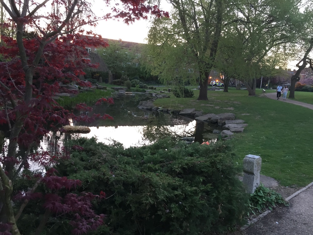 garden