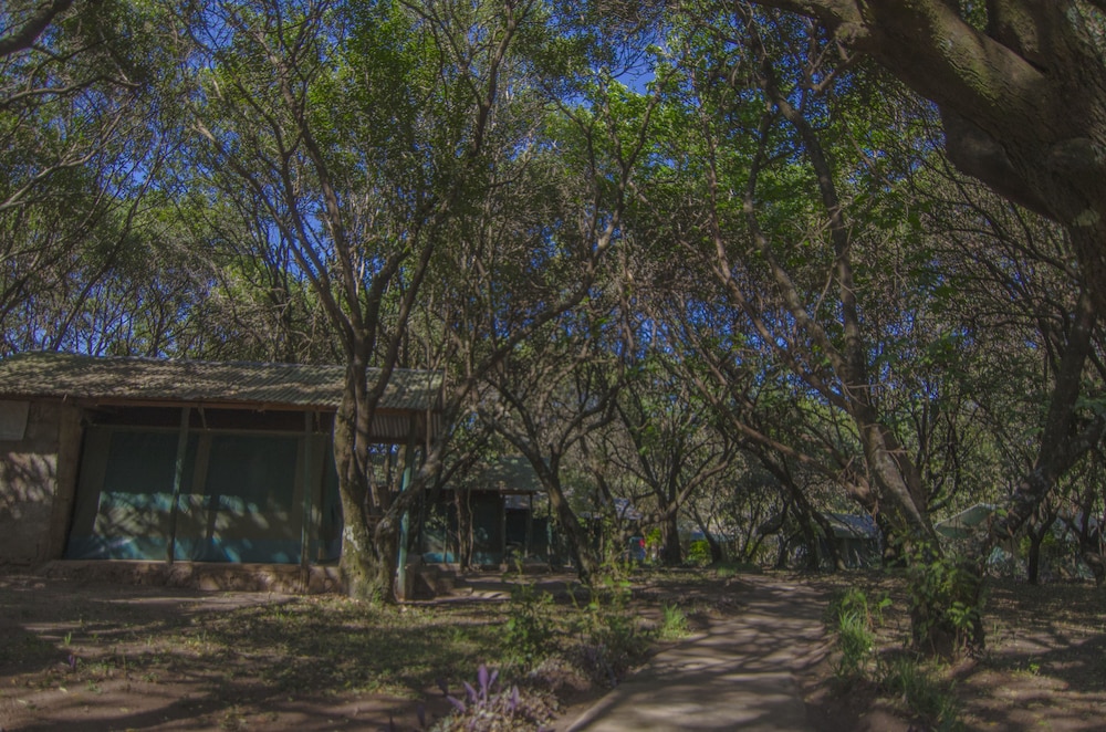 Mara Sidai Camp view 5
