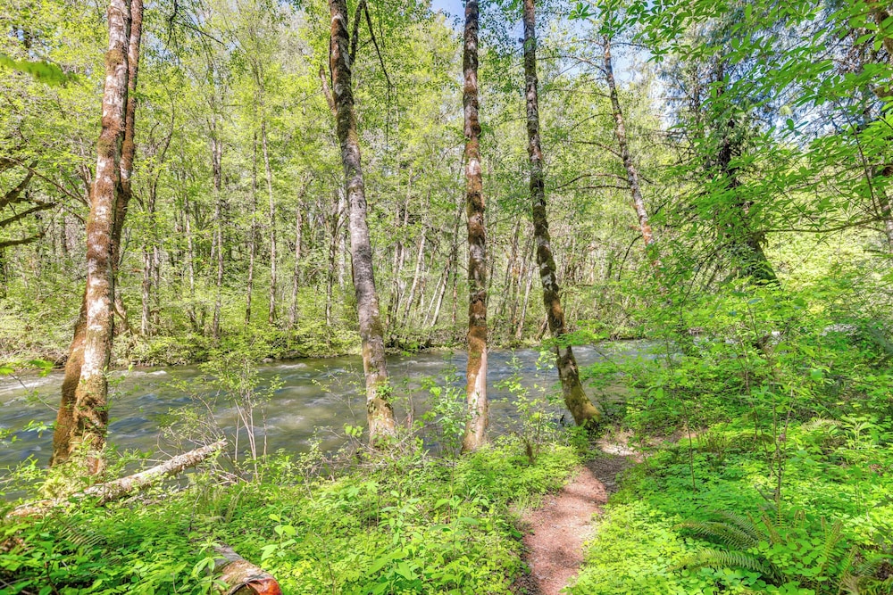 Nature-packed Mckenzie River Retreat w/ Trails!