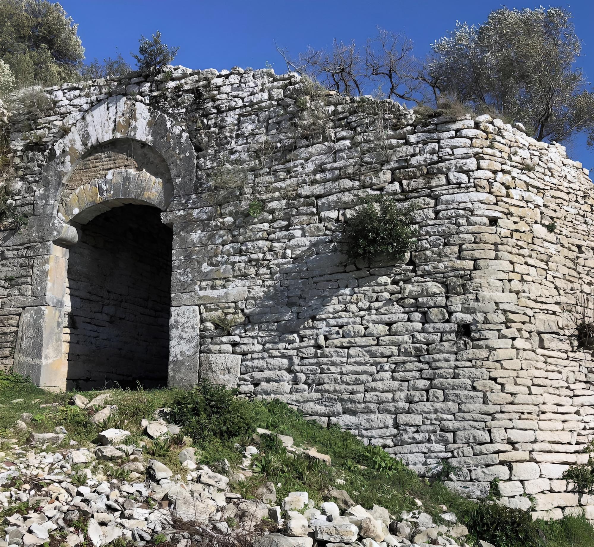 Photo 41