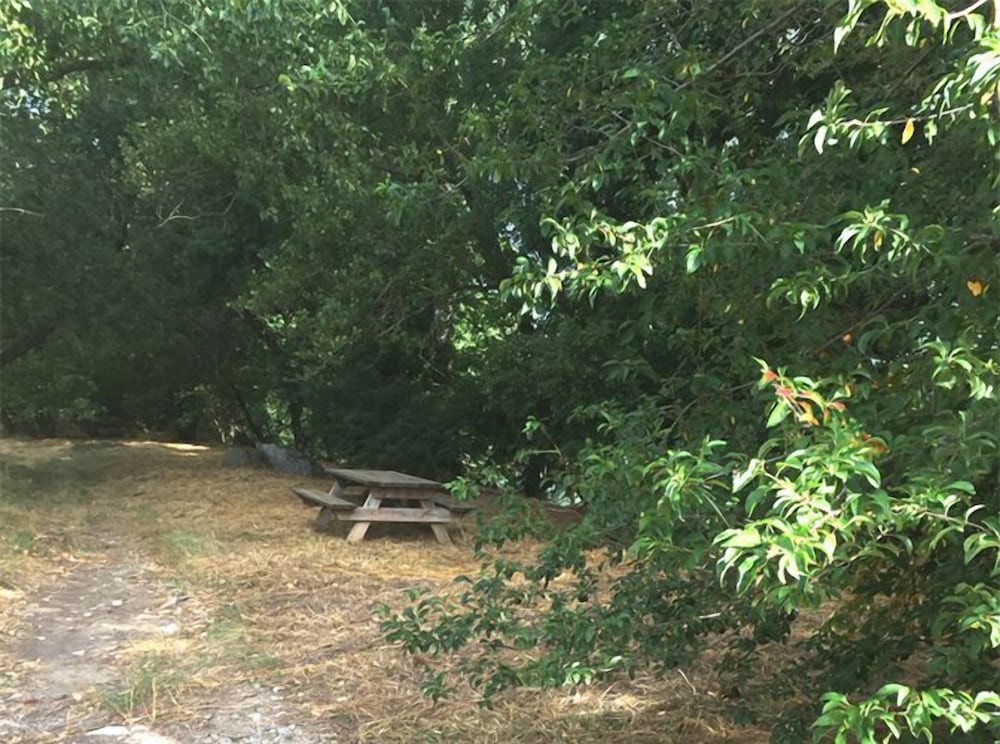 Photo 46