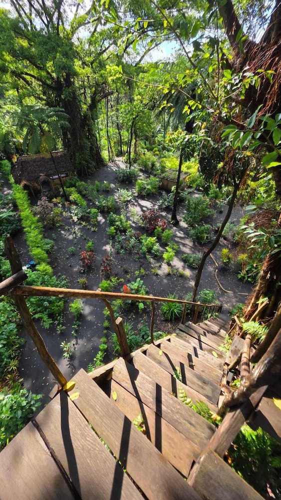 Glowing view tree house and Bangalow