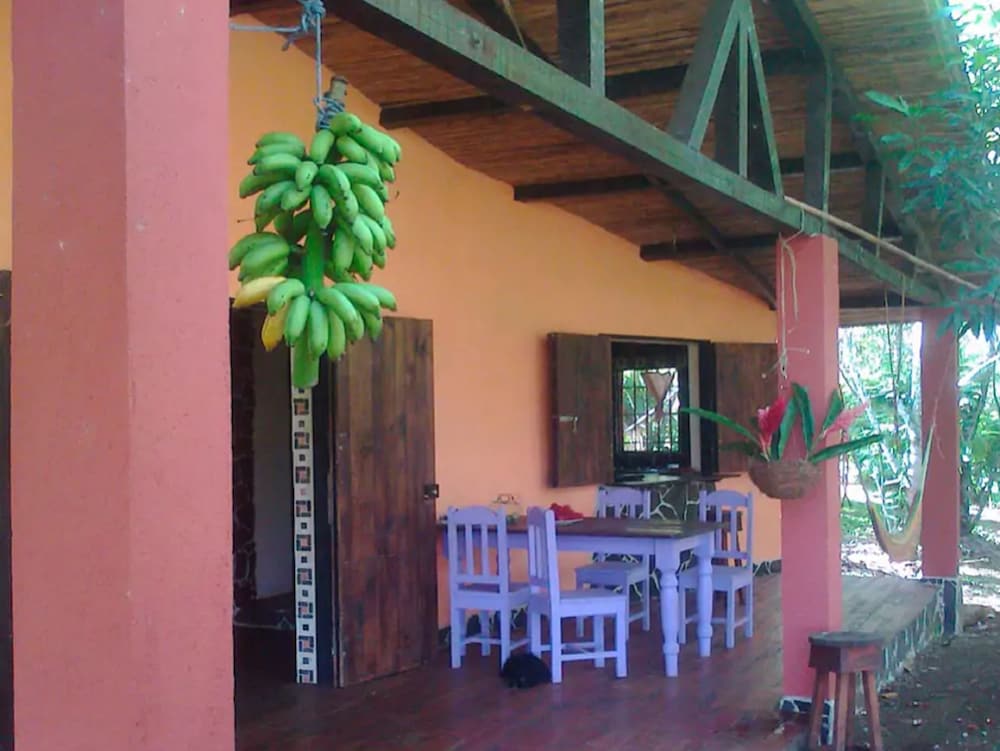 Photo 21
