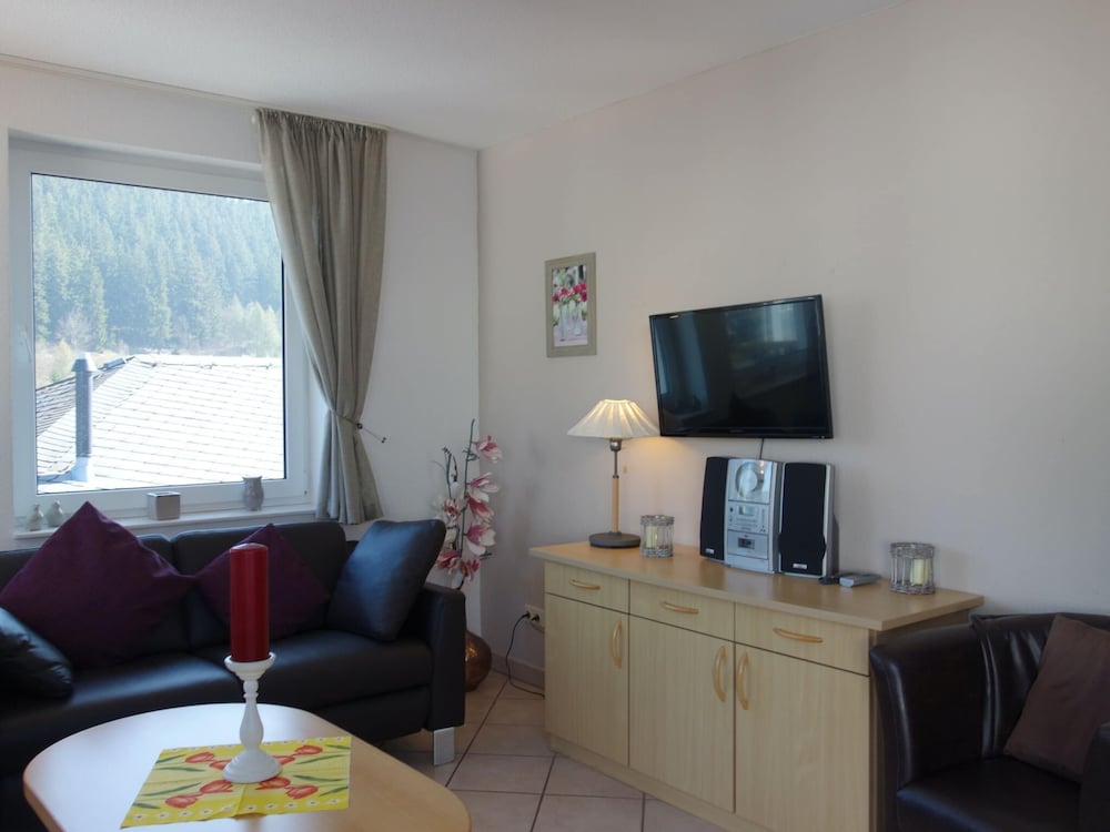 Lovely Apartment with Balcony in Willingen near Ski Lift view 5