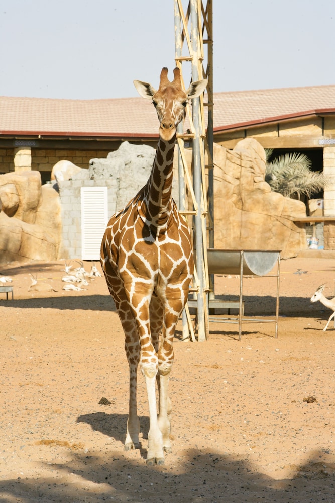 Abu Dhabi Vacations - Emirates Park Resort - Property Image 53