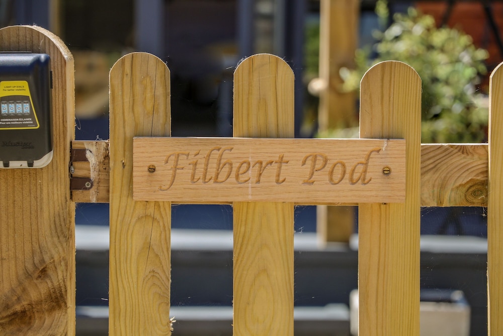 Filbert Pod