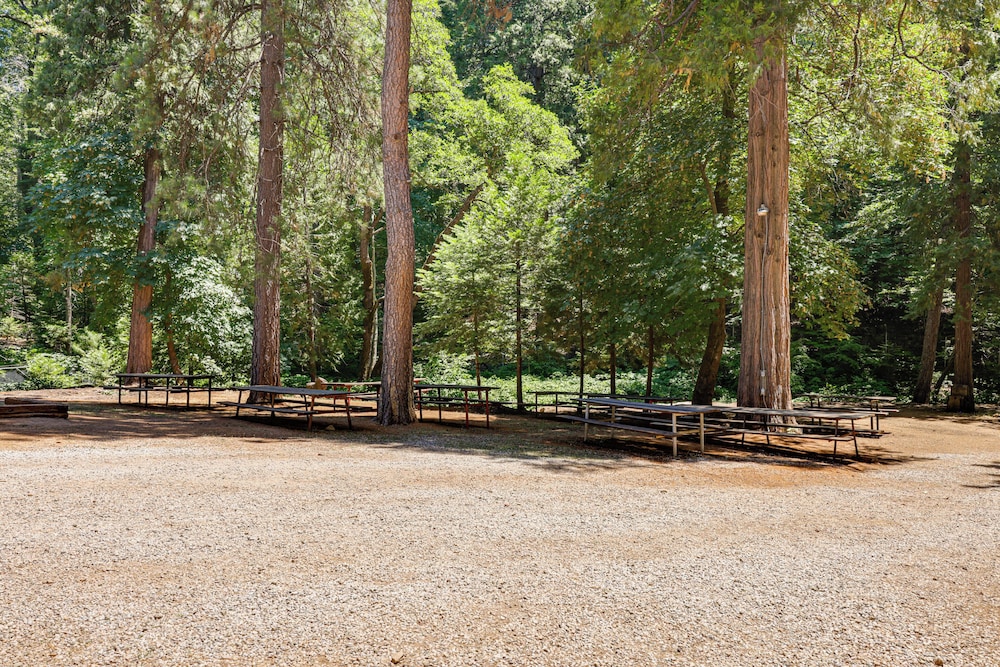 Community Lake Access: Peaceful Cabin in Sonora!