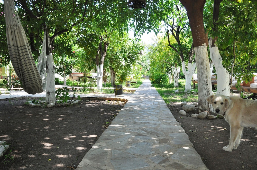 Photo 8