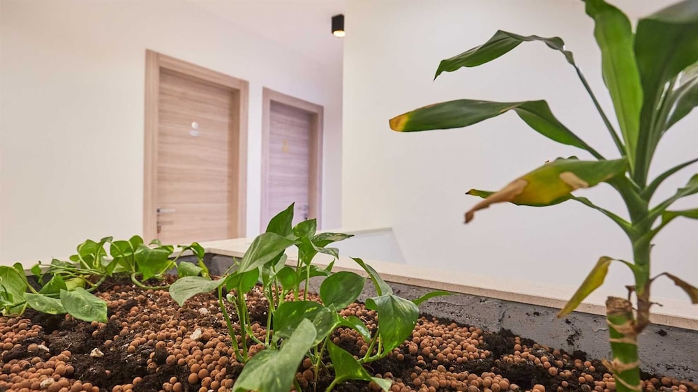 Dubrovnik Vacations - Boutique Garden Rooms - Property Image 149