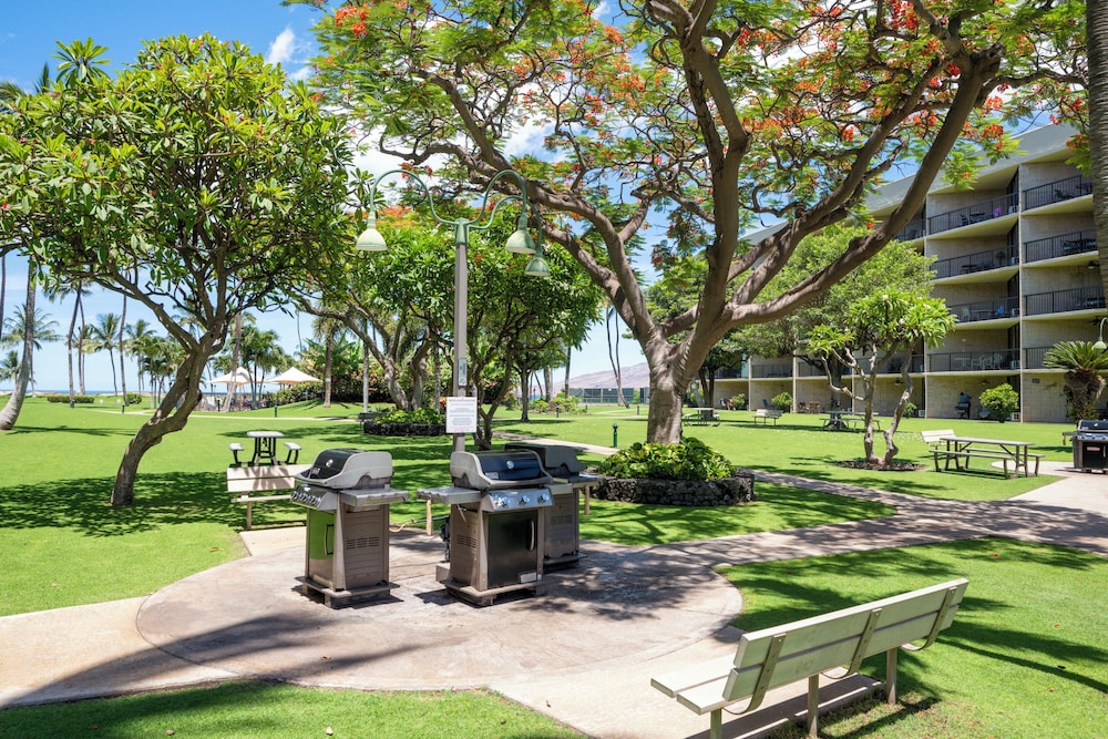 Romannas Golden Ray Oceanfront Condo