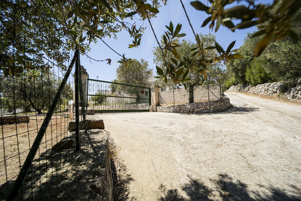 Photo 10