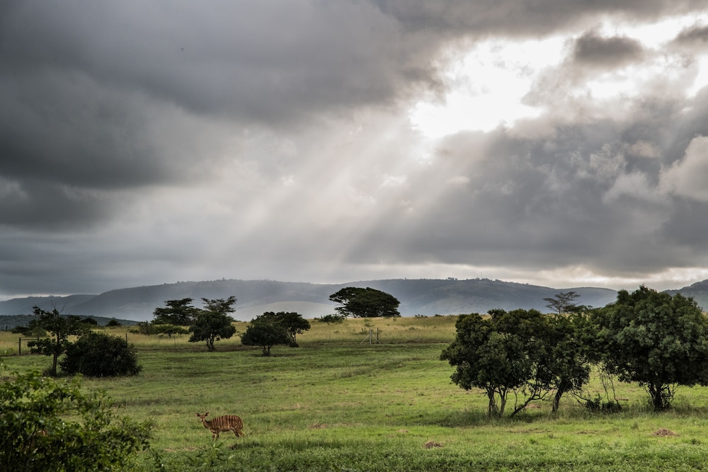 Zulu Nyala Game Lodge view 3