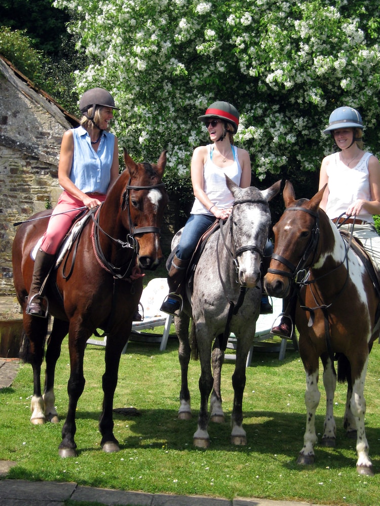 Hollamoor Farm B&B
