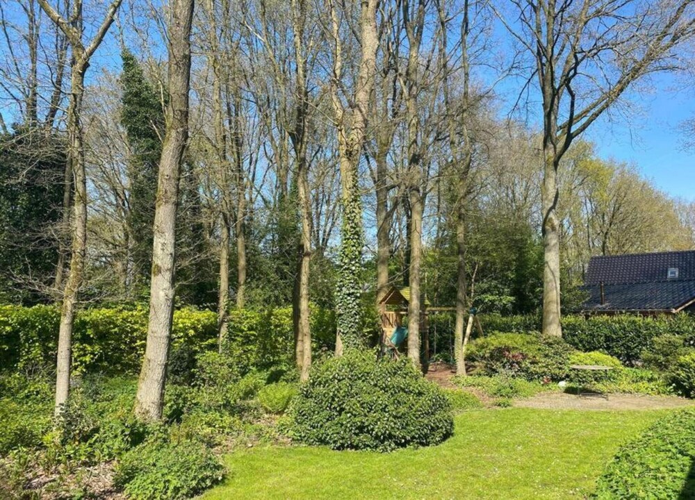 Chalet in Dutch Park With Garden and Terrace
