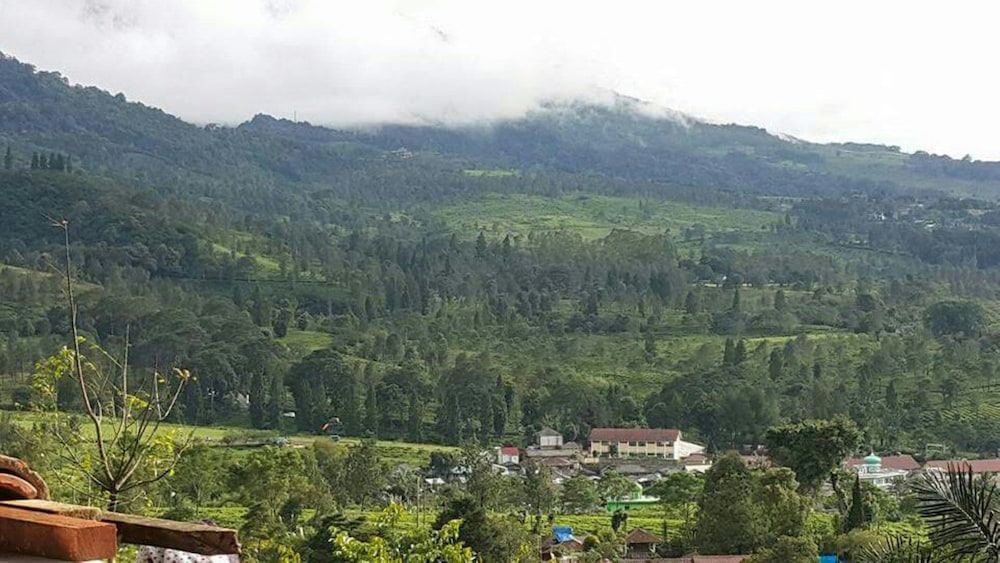 Villa Patih view 5