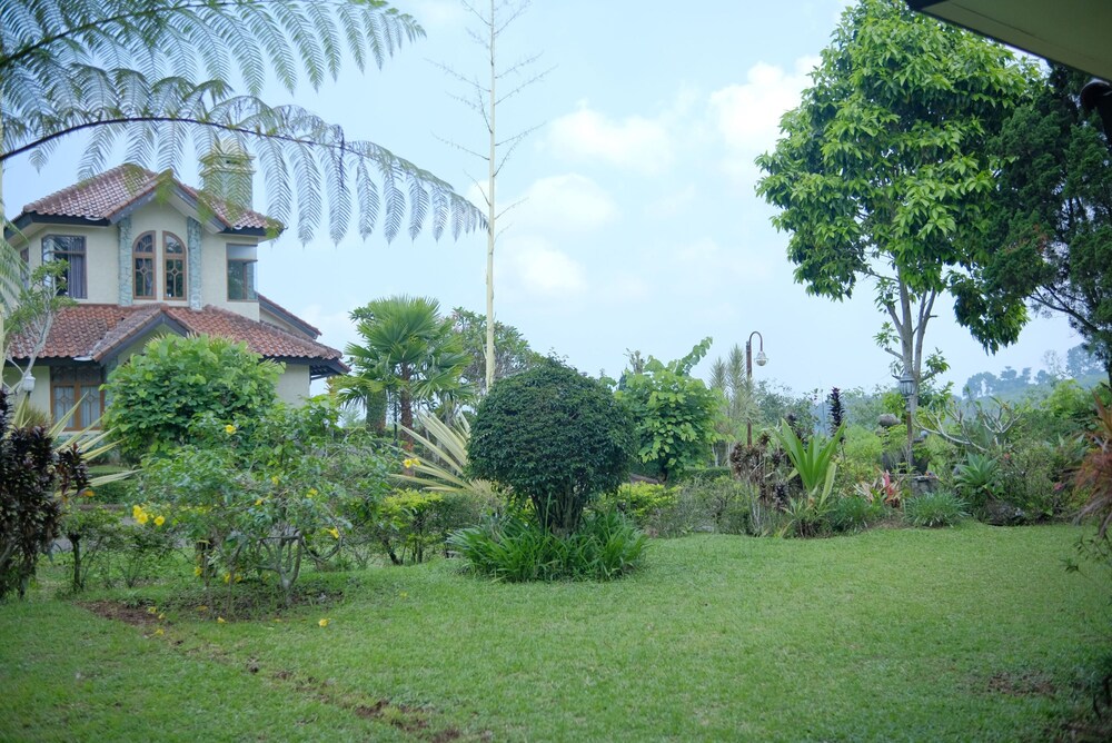 Photo 6