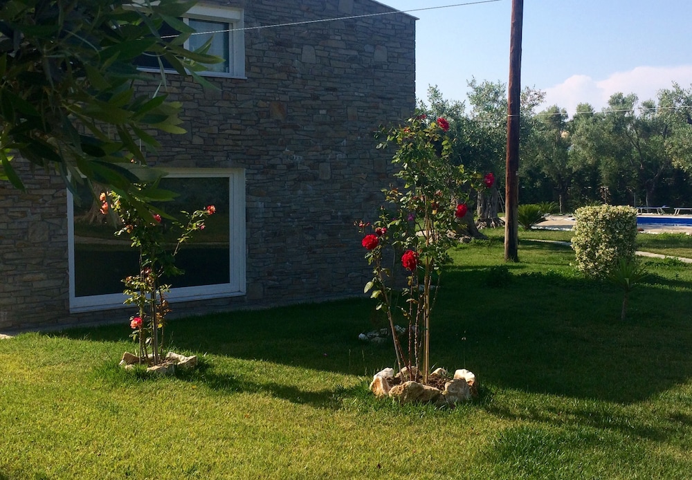 Photo 16