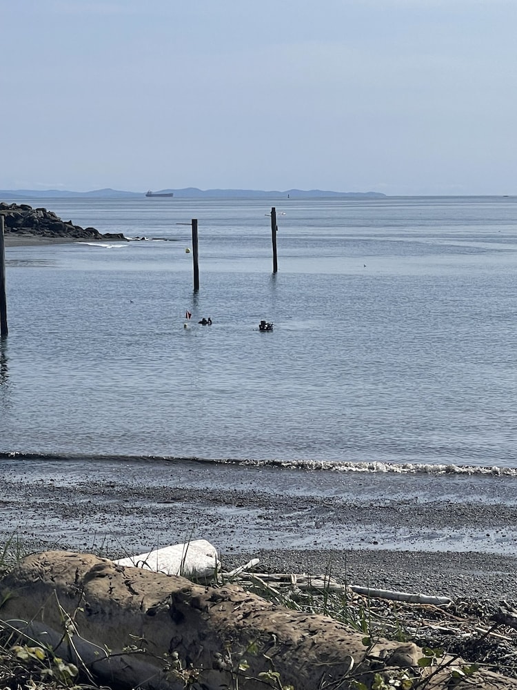 Curley's Resort & Dive Center