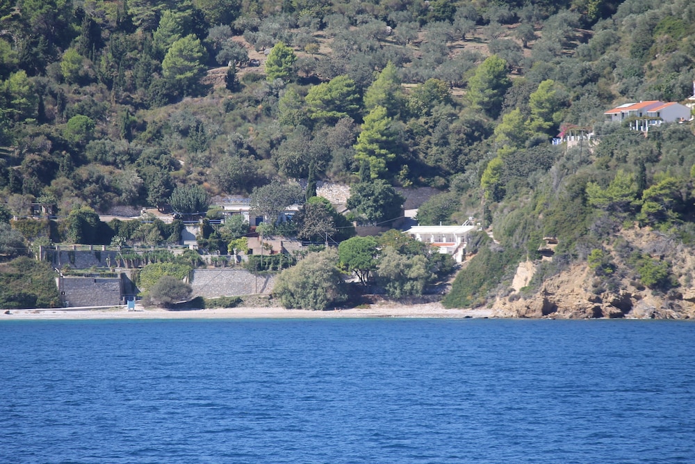 Photo 43