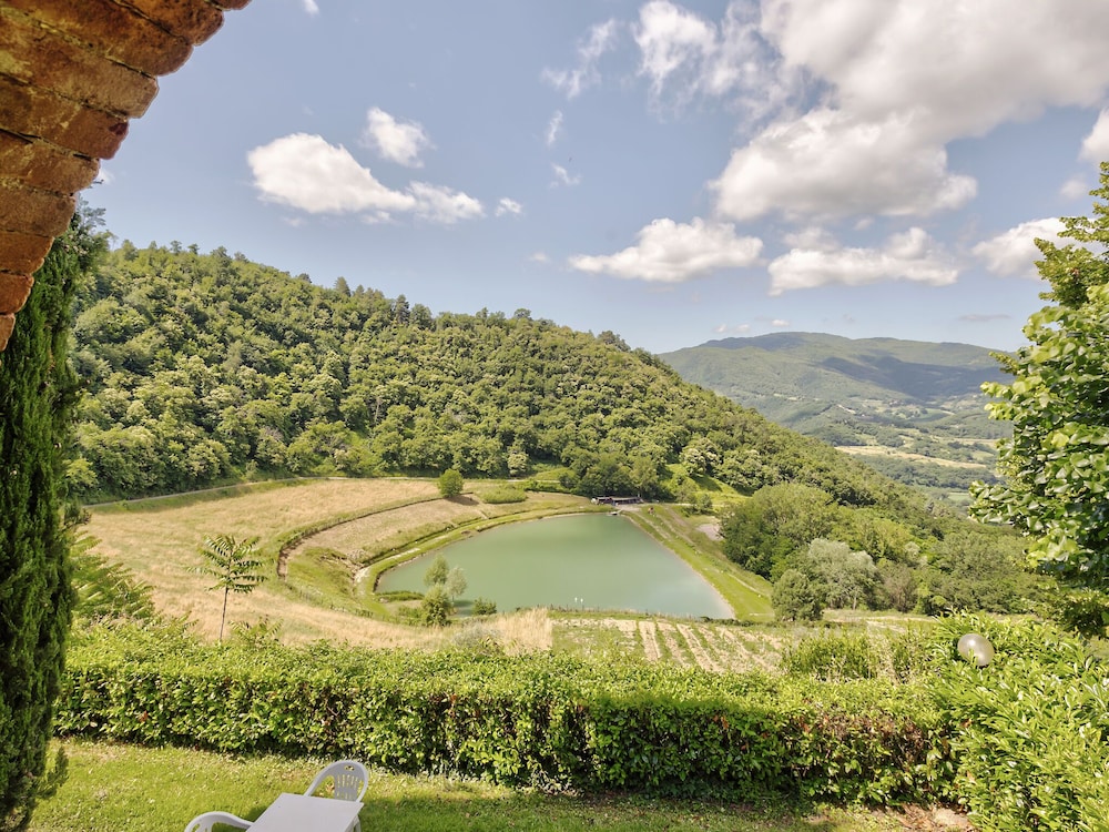 Photo 25