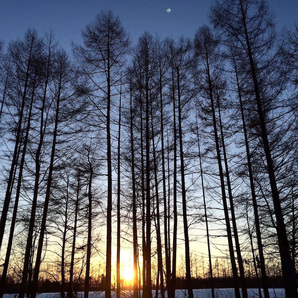 Obihiro Yachiyo Youth Hostel