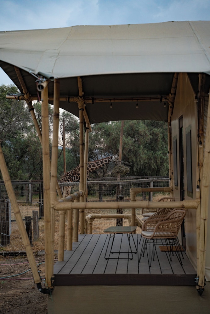 Glamping Reino Animal
