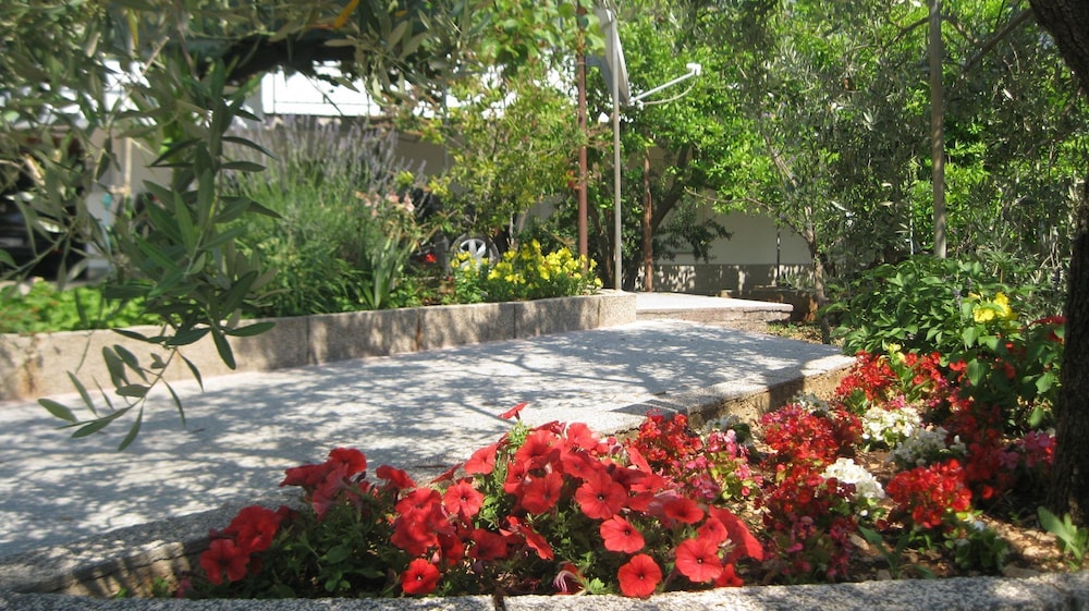Photo 9