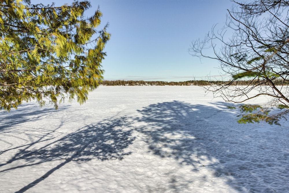 Lakefront Cabin on Lake Vermilion: Dock, Boat Lift