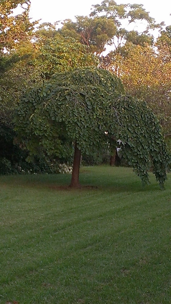 Idlewilde Country & Town Motorinn