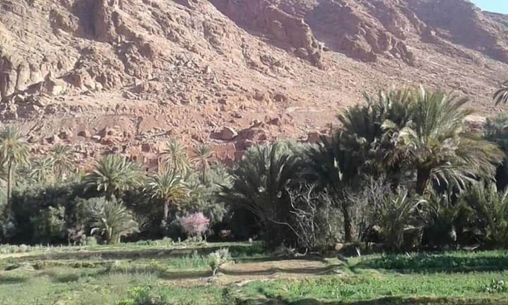 Kasbah Amazir
